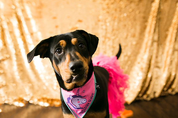 Libby 1yr