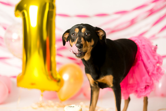 Libby 1yr-32