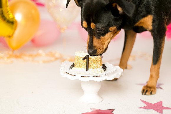 Libby 1yr-22