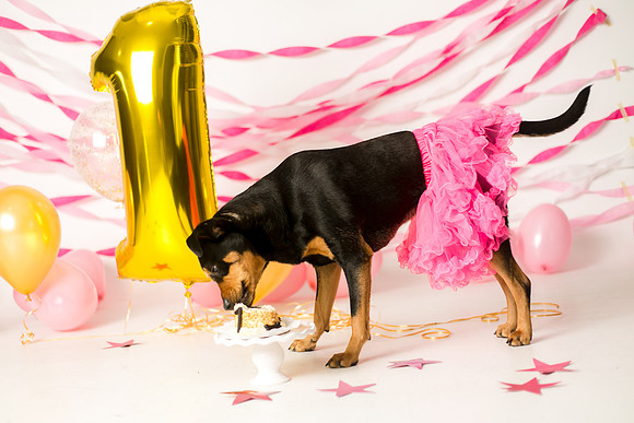 Libby 1yr-26