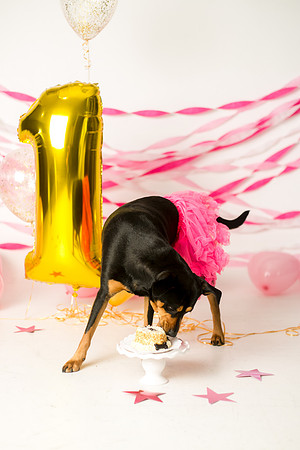 Libby 1yr-29
