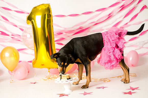 Libby 1yr-25