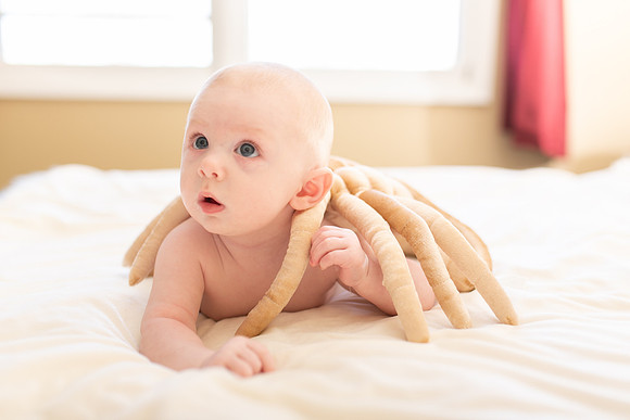William 4mth-26
