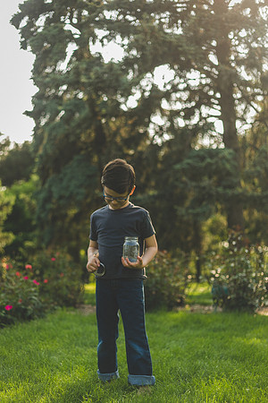 Fireflies 2019-24
