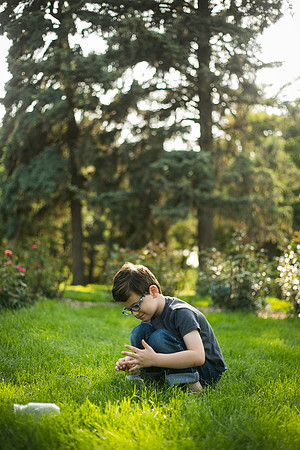 Fireflies 2019-30