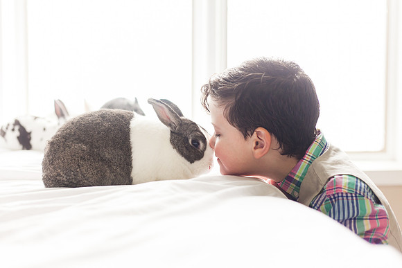 Bunnies 2018-39