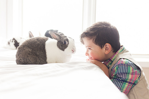 Bunnies 2018-37