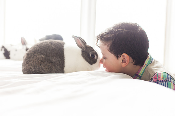 Bunnies 2018-40
