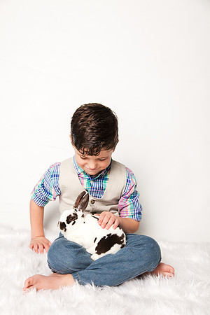 Bunnies 2018-12