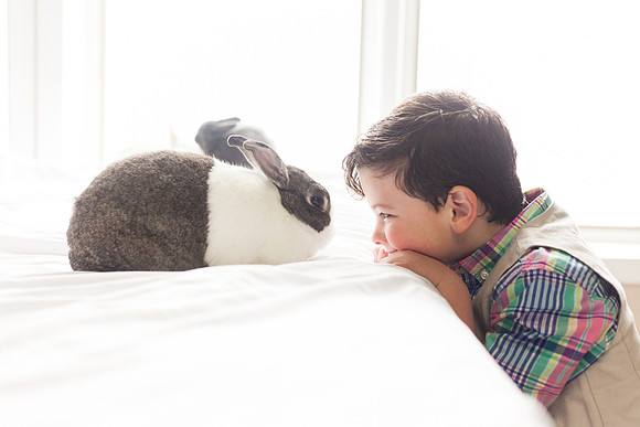 Bunnies 2018-36
