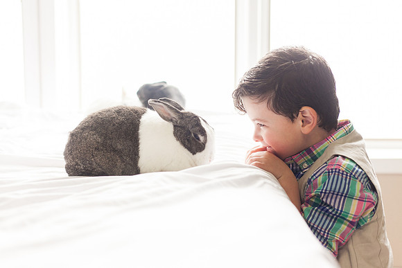 Bunnies 2018-32