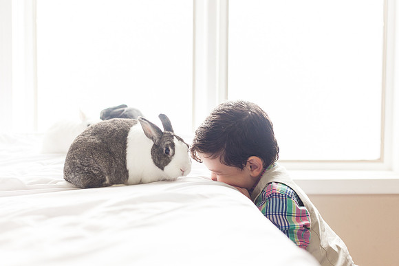 Bunnies 2018-28