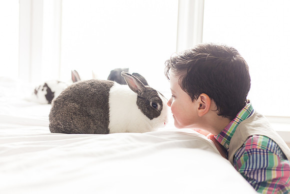 Bunnies 2018-38