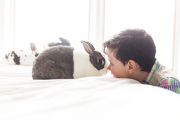 Bunnies 2018-41