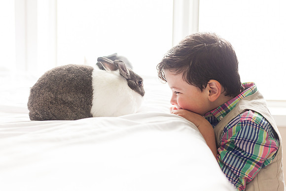Bunnies 2018-35