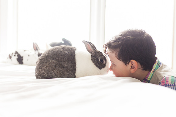 Bunnies 2018-42