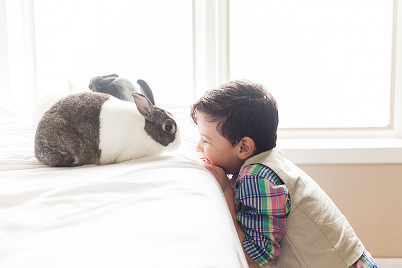 Bunnies 2018-29
