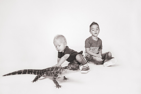 WildLife-23