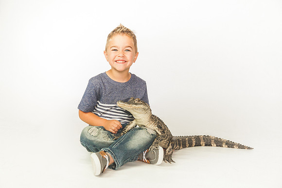 WildLife-6