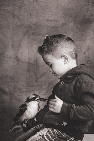 WildLife-55