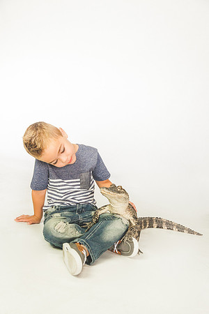 WildLife-12