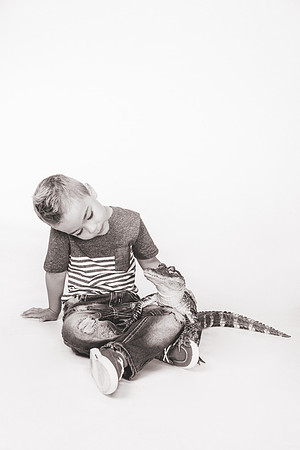 WildLife-11