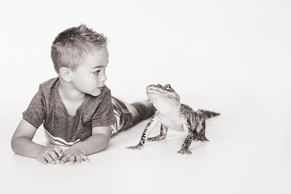 WildLife-45