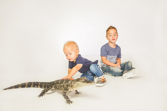 WildLife-24