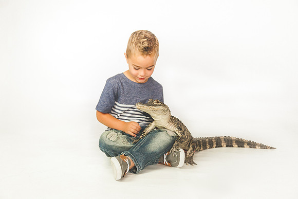 WildLife-4