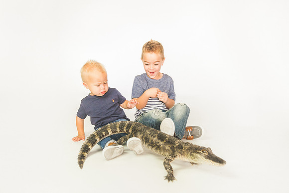 WildLife-22