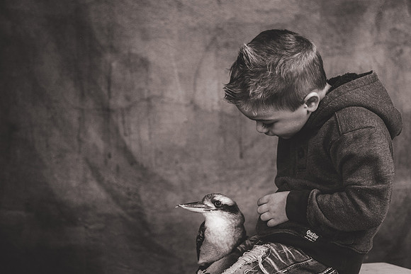 WildLife-63
