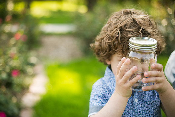 Fireflies 2019-53