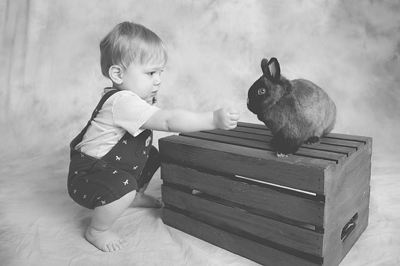Toby-Bunny-2016-55
