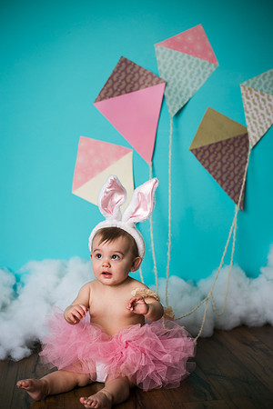 Wren Spring 2015-32