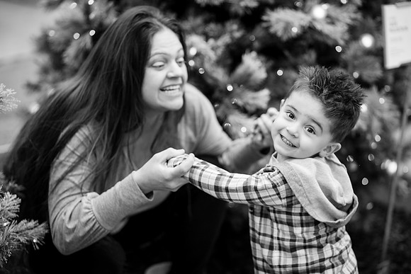 xLarson Holidays 2018-60