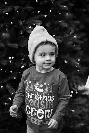xLarson Holidays 2018-107