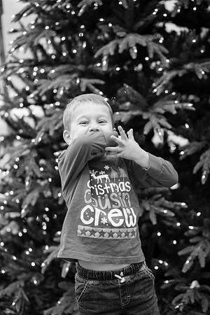 xLarson Holidays 2018-115