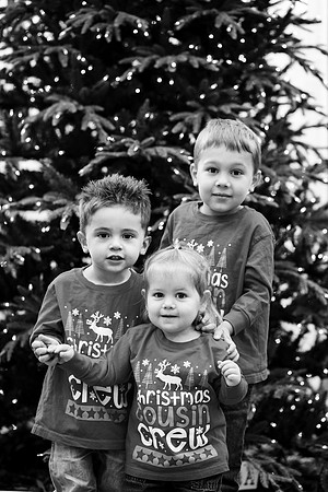 xLarson Holidays 2018-90
