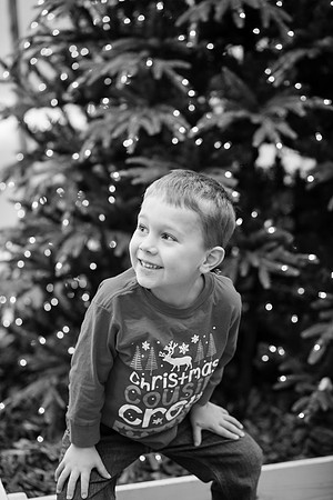 xLarson Holidays 2018-118