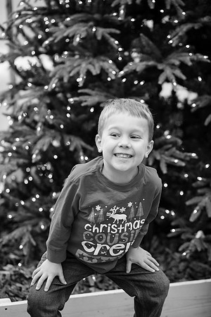 xLarson Holidays 2018-117