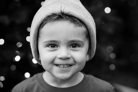 xLarson Holidays 2018-112
