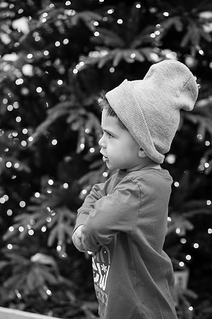 xLarson Holidays 2018-105