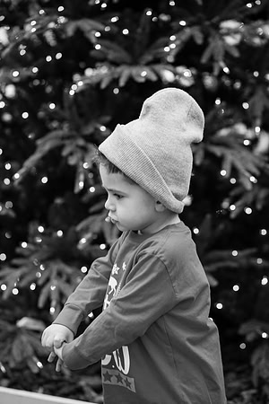 xLarson Holidays 2018-106