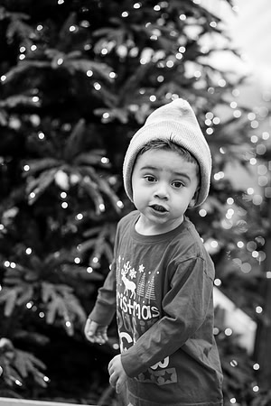 xLarson Holidays 2018-104