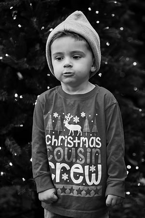 xLarson Holidays 2018-108