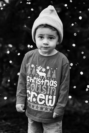 xLarson Holidays 2018-110