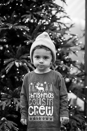 xLarson Holidays 2018-102