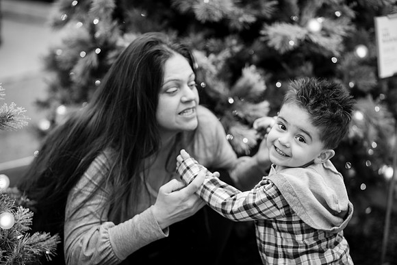 xLarson Holidays 2018-61