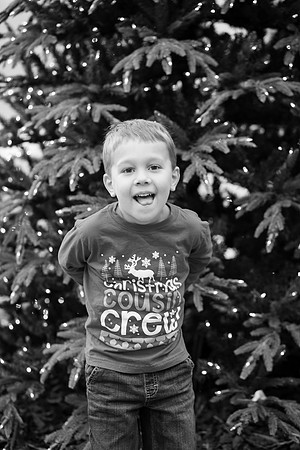 xLarson Holidays 2018-113