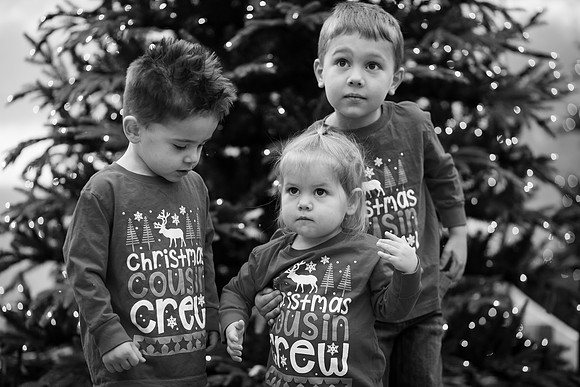 xLarson Holidays 2018-86